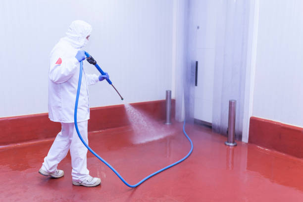 Professional Pressure Washing Services in Cibolo, TX