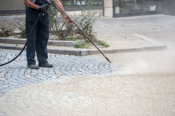 Best Spring Cleaning  in Cibolo, TX